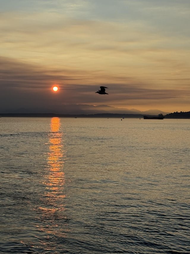 Pic of my ferry ride home after 19 days in the desert!