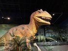 Pictures Before Extinction