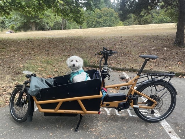 Stolen Cargo Bike 8/29