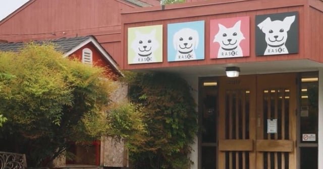 King County buys building for new animal shelter