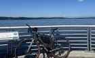 Dearly loved bike stolen from 83rd & Greenwood. Please be on the lookout!