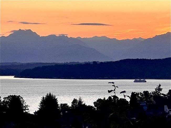 Pre-Party in Admiral, two outdoor movies, comedy, music, skating, more for your West Seattle Friday