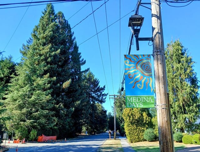 Medina Clinging to ‘Semi-rural’ Streets While Vying for Complete Streets Dollars – The Urbanist
