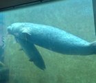 Seal in the locks, part 2
