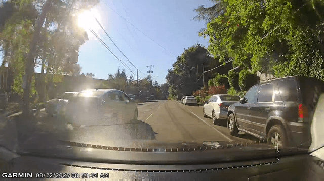Impatient Prius Drives Around Roundabout Island to Pass on Boyer
