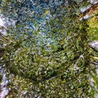 Arboretum and Japanese Garden photos (art piece you may not have seen)
