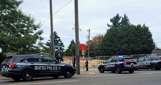 About the police response at Morgan Junction Park