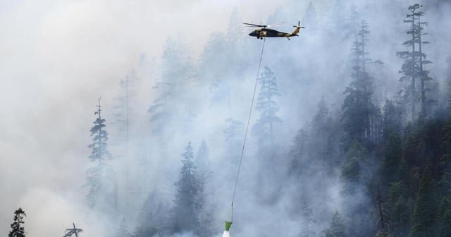 Border Patrol agents arrest fire crew members at Washington wildfire