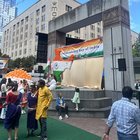 So many random things to do in the city