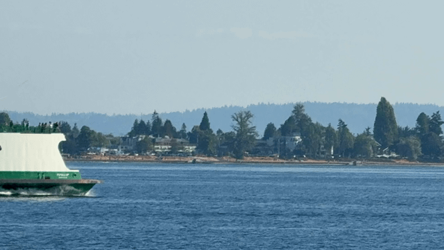 Every Last One Of Them Is Leaving Seattle