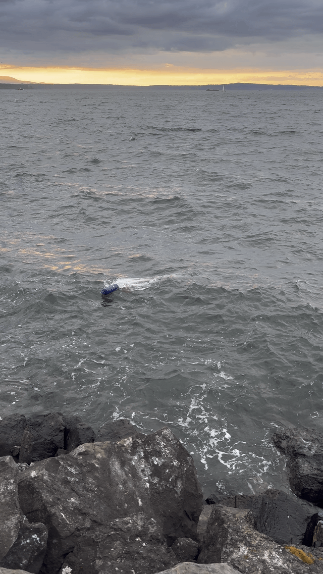 Sunken boat at Discovery Park shore