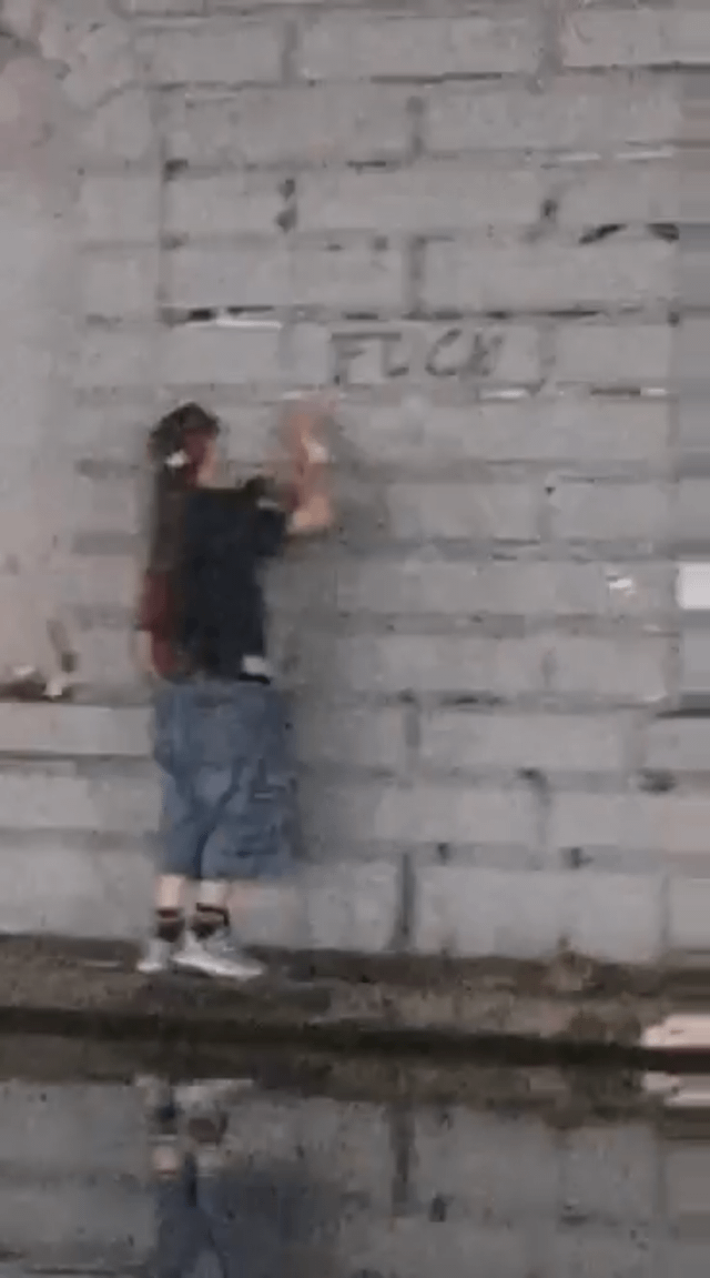 Video of the man who defaced the Hot Rat Summer Mosaic spray painting “Fuck You Seattle.”