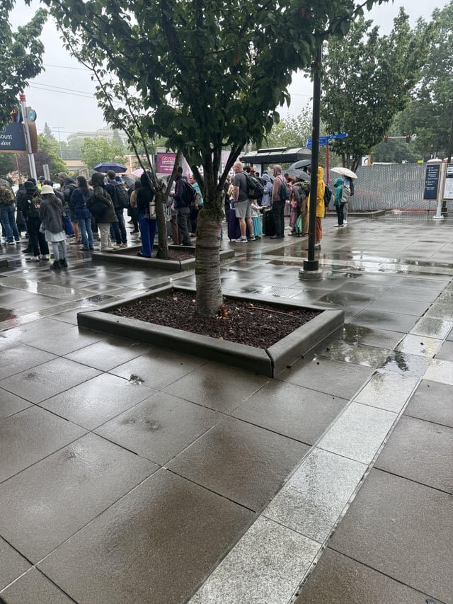 Mount baker to sodo light rail shutdown this morning. During rain, what a mess.