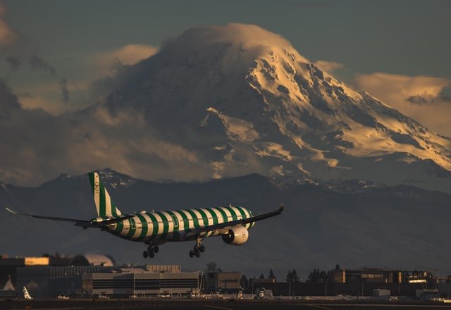 Rainier looming behind a striped German Condor at Sea-Tac [OC]