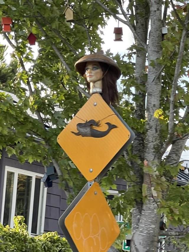 This sign wasn’t on the driver’s test