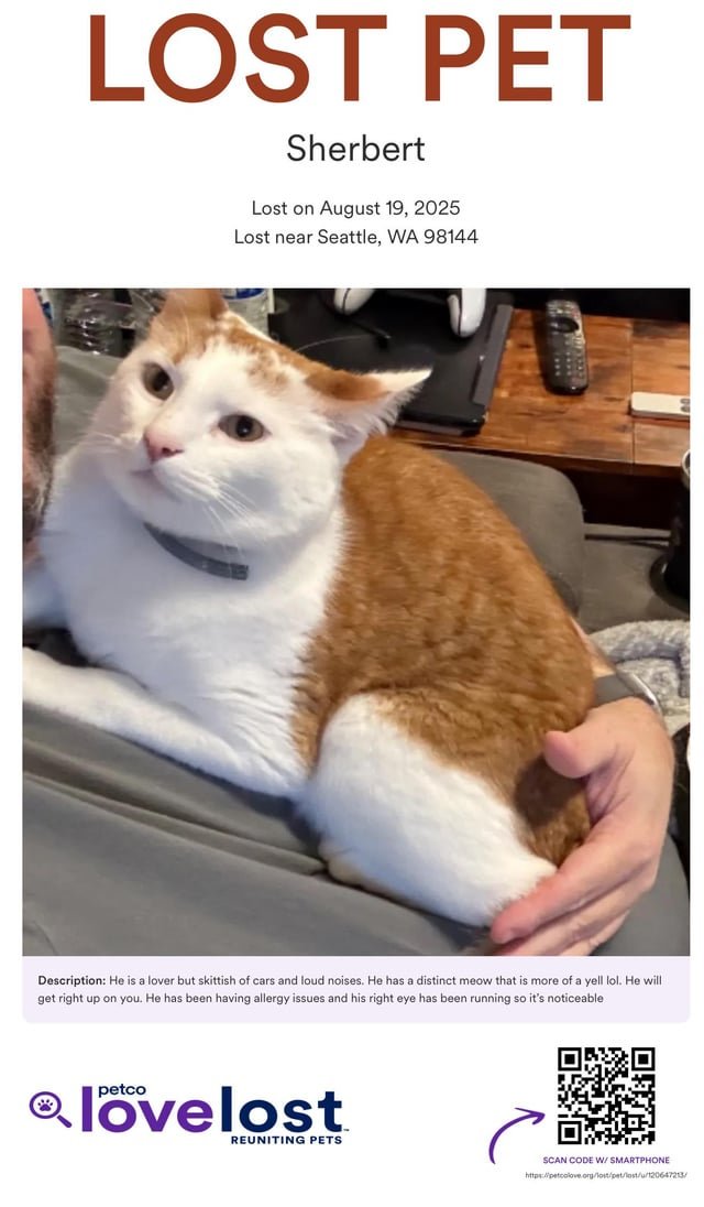 Lost Pet- Jackson Place area