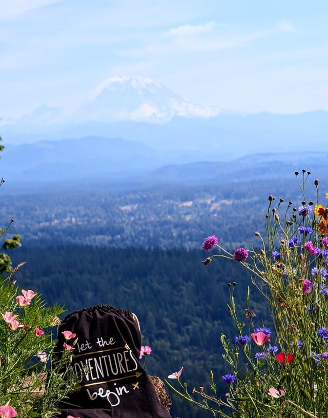 The Trailhead Direct is the best thing that happened to non Driver Hikers in Seattle