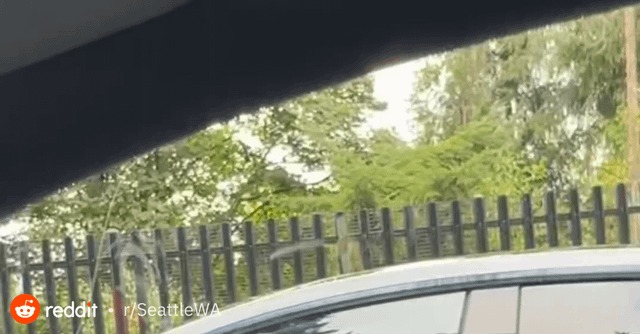 Racist lady in Bellevue caught on camera