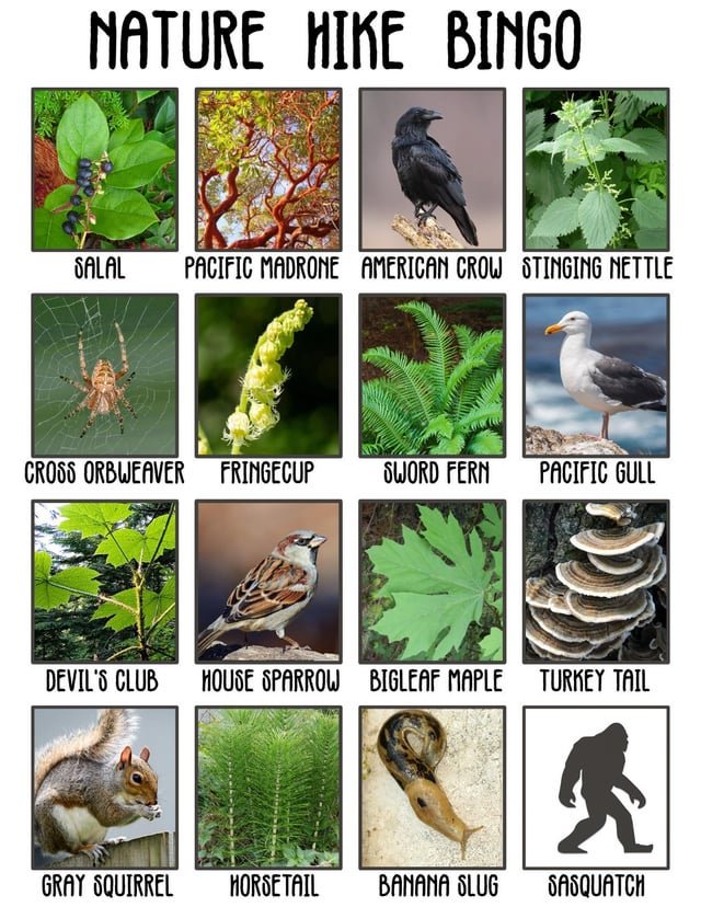 PNW nature bingo for kids