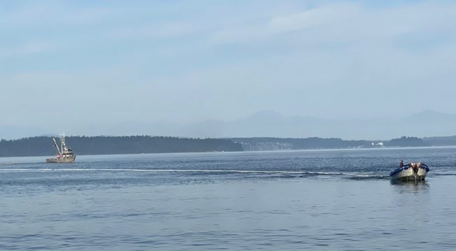 WEST SEATTLE SCENE: Purse-seine fishing