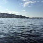 Haven’t been paddle boarding in a long time; It was awesome to do this at SLU!
