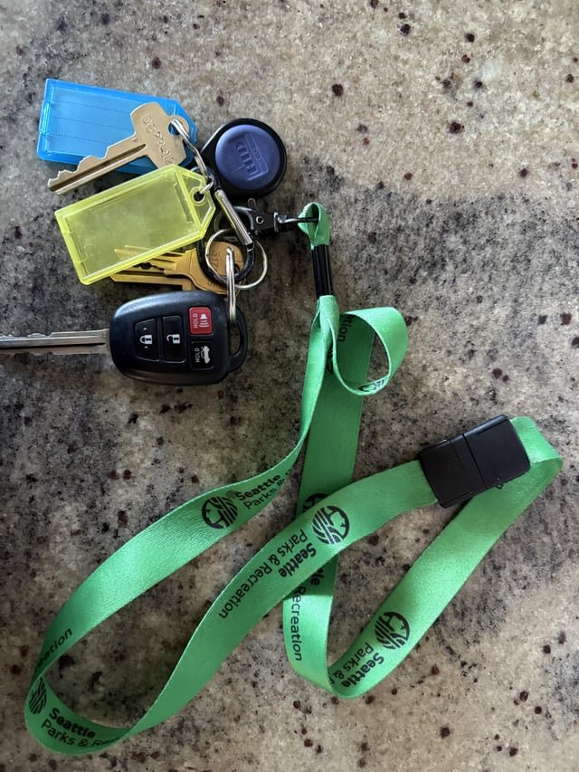 Lost Keys Near Othello Park