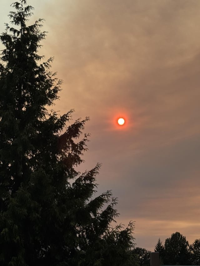 The sun’s bright orange