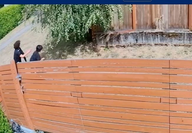 READER REPORT: Rock-throwers target homes, cars