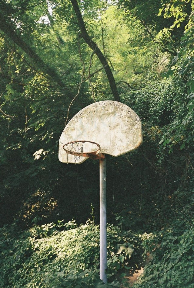 Somewhere in a park in Seattle.