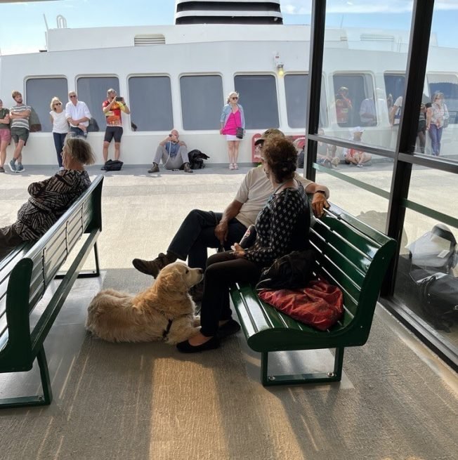 Washington State Ferries unleashes new dog policy for a test run