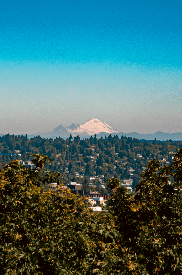 Mt Baker making an appearance today