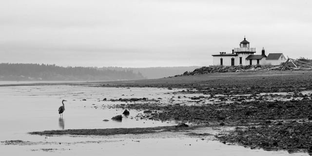 Overcast morning at Discovery Park
