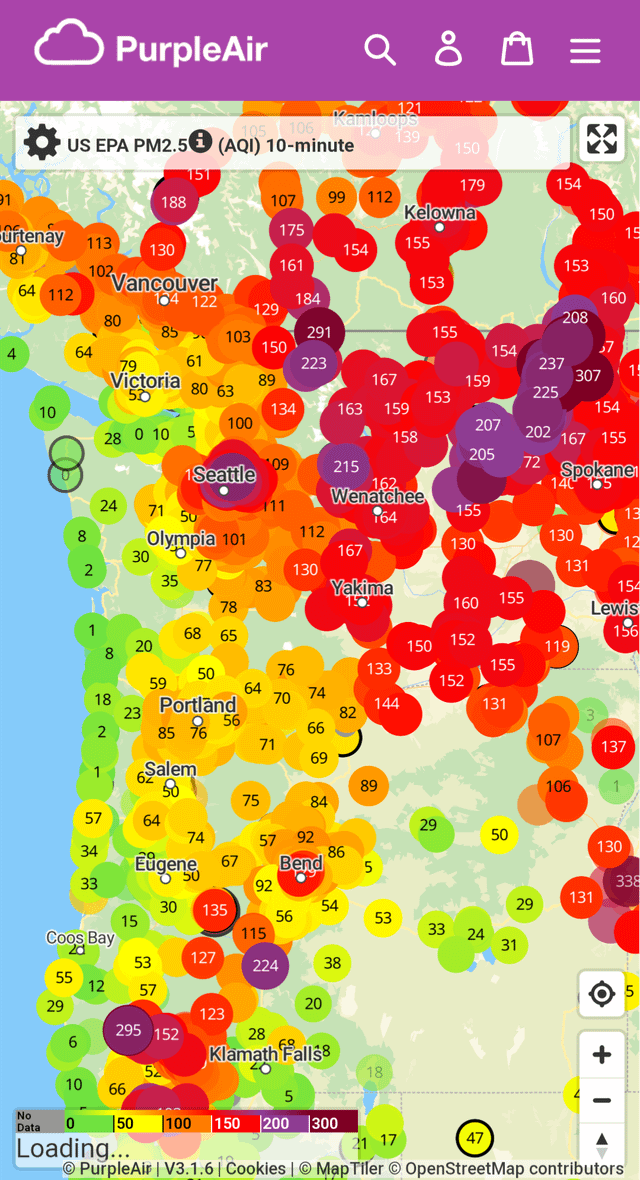Ah, the fall “foliage” has begun