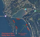 My favorite spots for bioluminescence kayaking near Seattle (in the Puget Sound)