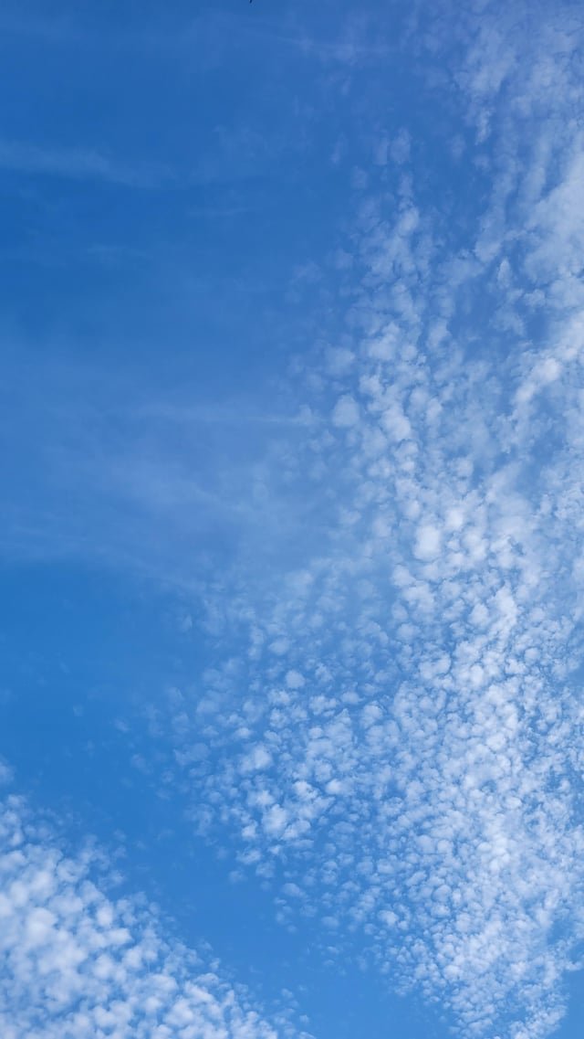 The clouds today were neat