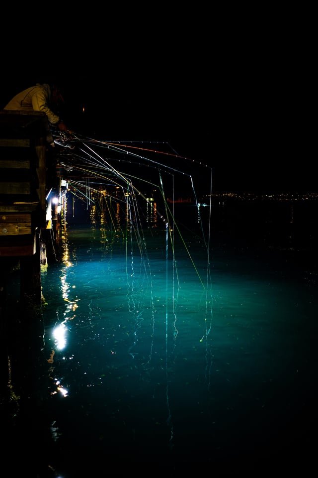 Nighttime squid 🦑 jigging near Alki