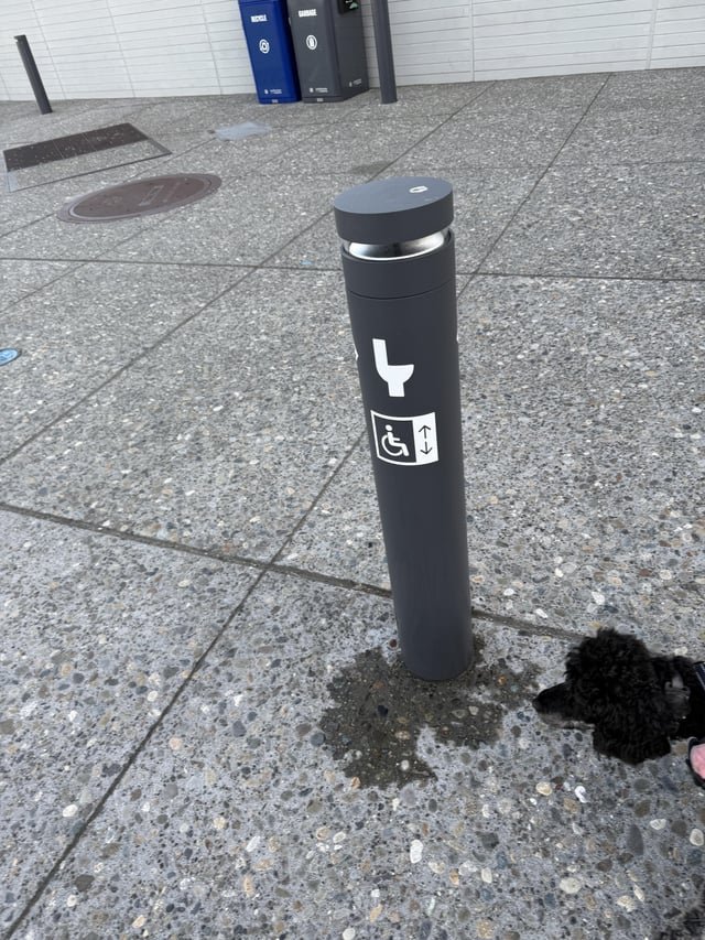 What is the pole/sign actually for?