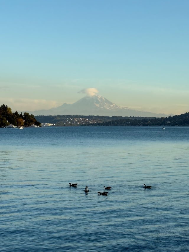 Seattle has the best parks