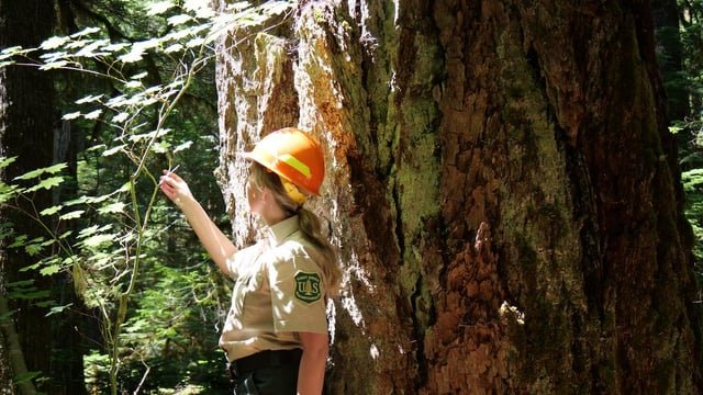 Time is running out to weigh in on Forest Service overhaul that would close Pacific Northwest headquarters