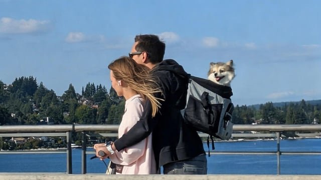 Happiest dog ever