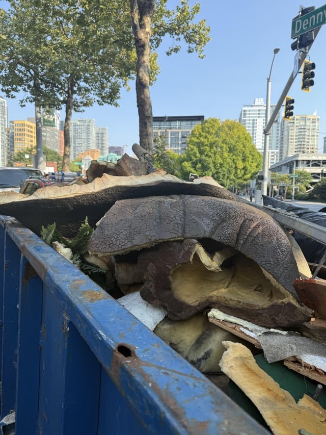 Dinosaur Parts in the PacSci dumpster this afternoon