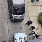 SWAT teams get front-ended on Lake City Way, firing two shots