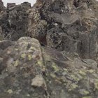 Mount Forgotten, Washington – Rainier for Robert (The Last One of 2025)
