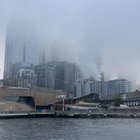 Finding beauty in the gray