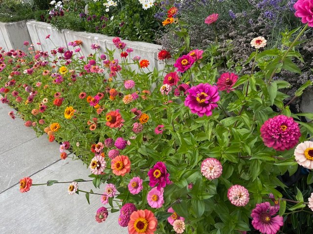 19 notes for your West Seattle Tuesday!