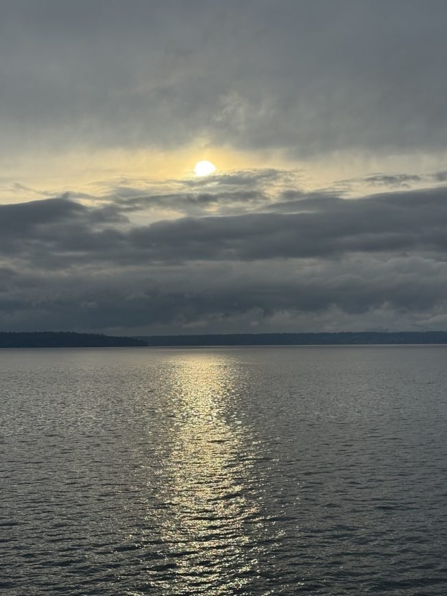New playspace, dine-out fundraiser, Scottish Country Dancing, Highly Capable program meeting, more for your West Seattle Tuesday