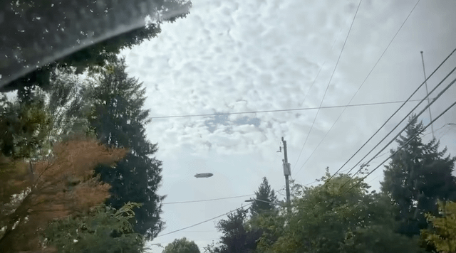 Big Blimpin’
