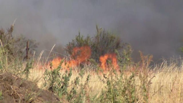 Fire Weather Watch issued for most of Puget Sound