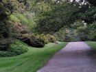 Coyote in the Arboretum + More