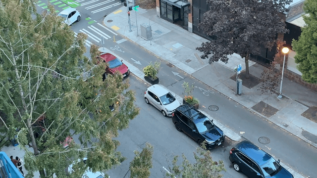 The bane of my Belltown existence every summer.